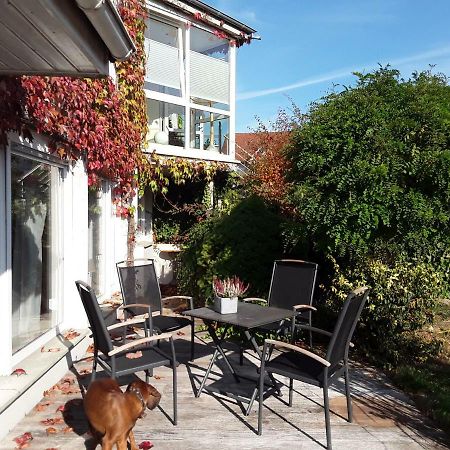 Fewo Charlotte Horn-Bad Meinberg Exterior foto